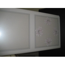 Hot Transfer PVC Decoration Panel (HT001)